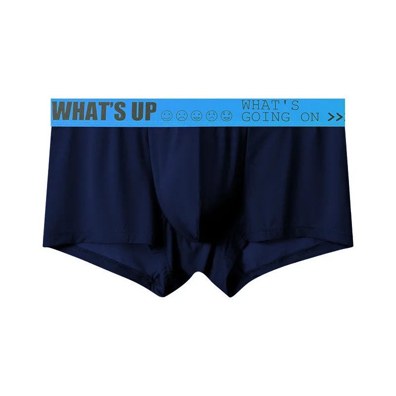 Men's Summer Ice Silk Boxer Underwear Solid Light Grey Silky Thin Breathable Big U Bulge Pouch Comfort Casual Briefs