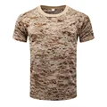 AOR1 Desert