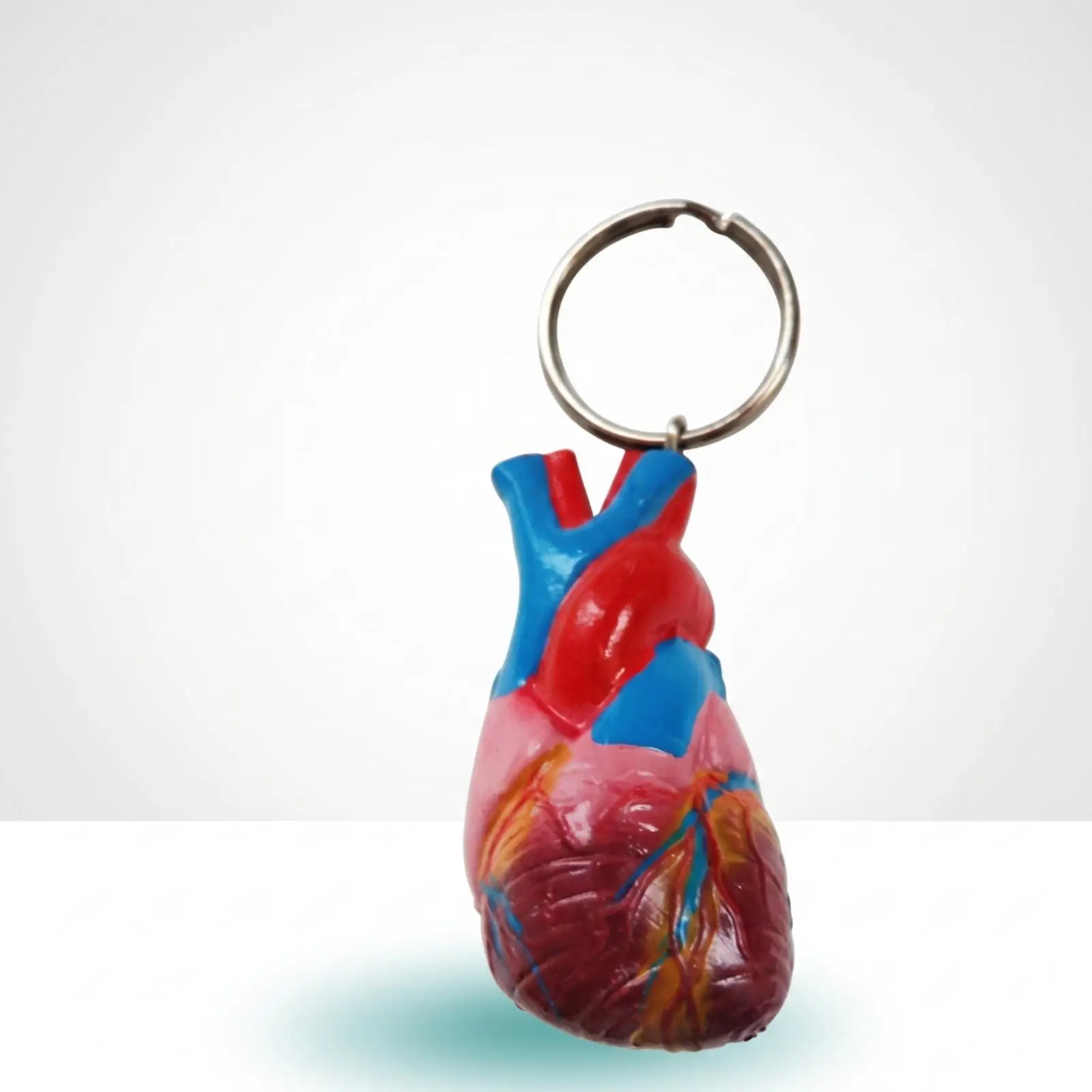 Anatomical Keychain Detailed Structural Heart Plastic Model Key Ring Accessory for Nurses Students