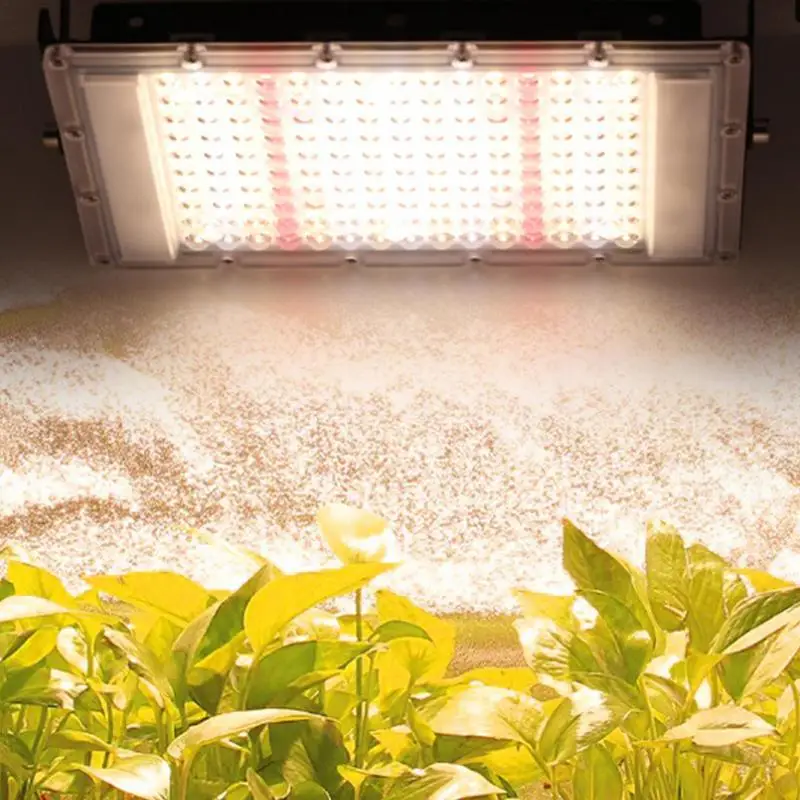 Luz LED solar para cultivo de plantas de interior, lámpara de espectro completo, 100w
