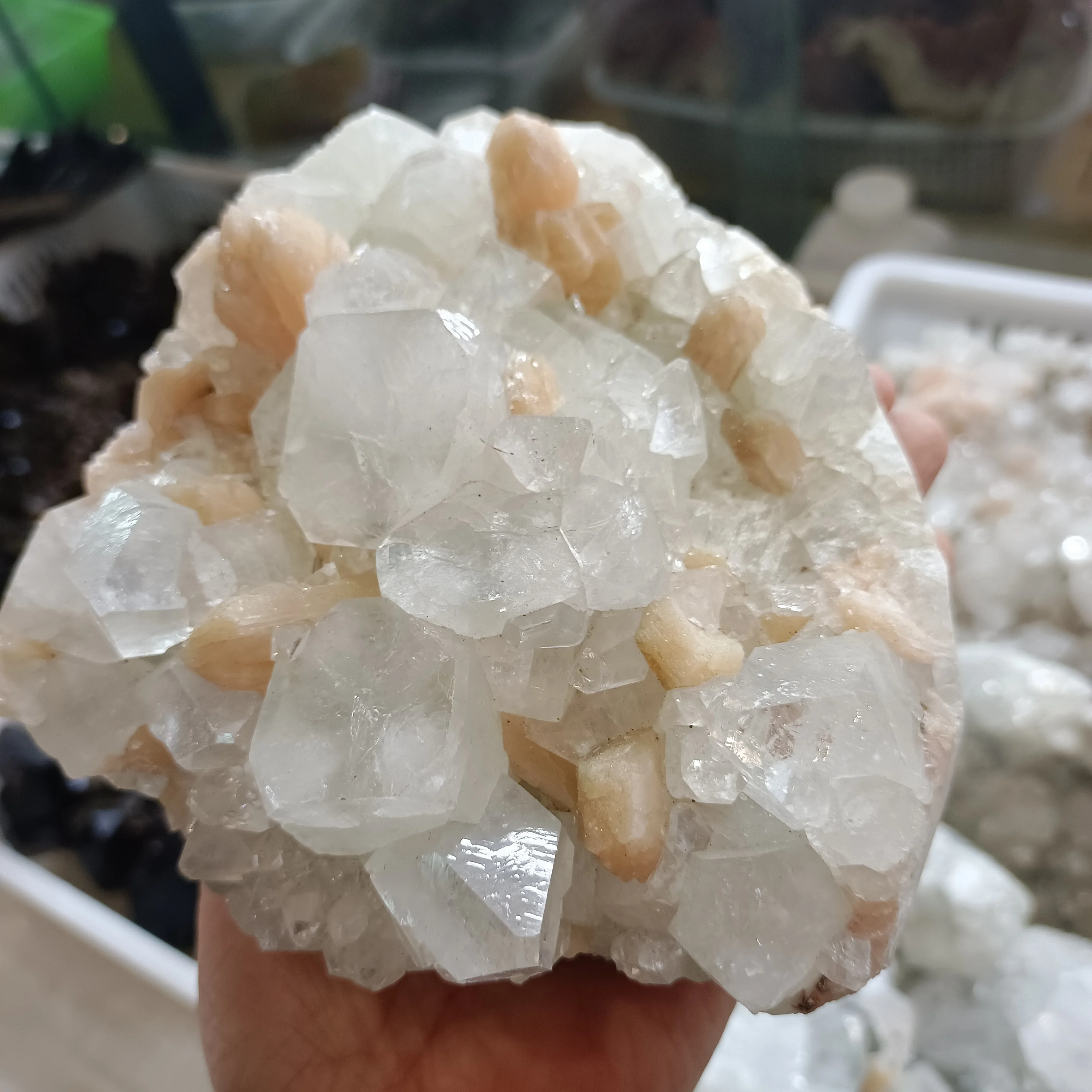 

Natural Fisheye Symbiotic Calcite Rough Ore Quartz Crystal Mineral Specimen Reiki Healing Home Decoration Meditation Gem