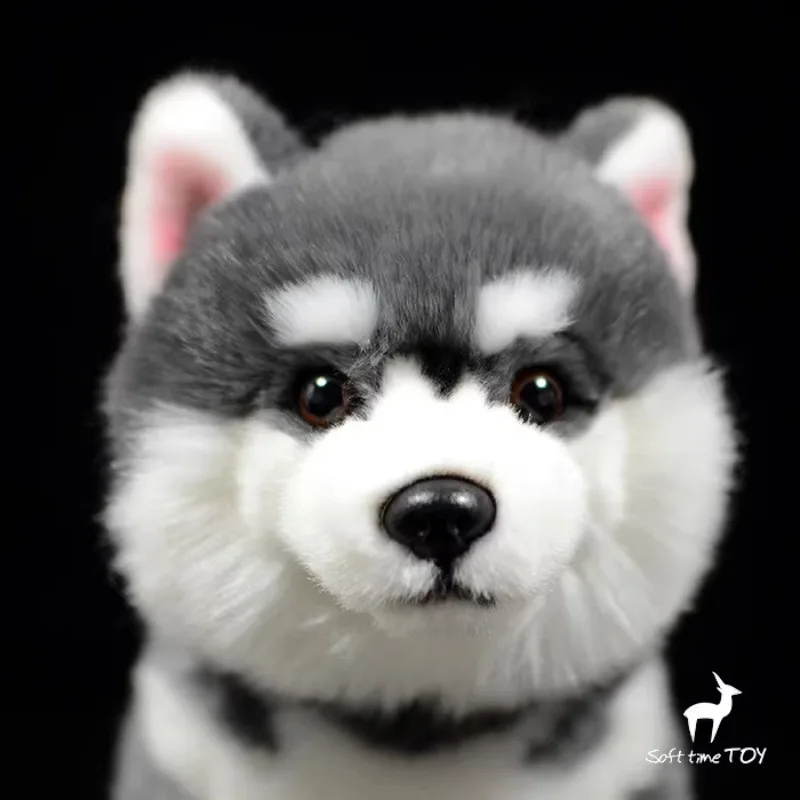 ZWY Realistic Grey Alaskan Malamute Plush Toy Soft Fluffy Cute Puppy Doll Gift for Kids Dog Lovers Home Decor