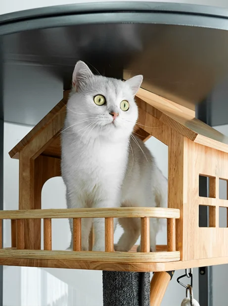 360 ° panoramic glass cat villa, solid wood luxury cat nest with toilet, cat cage, household super large cat room