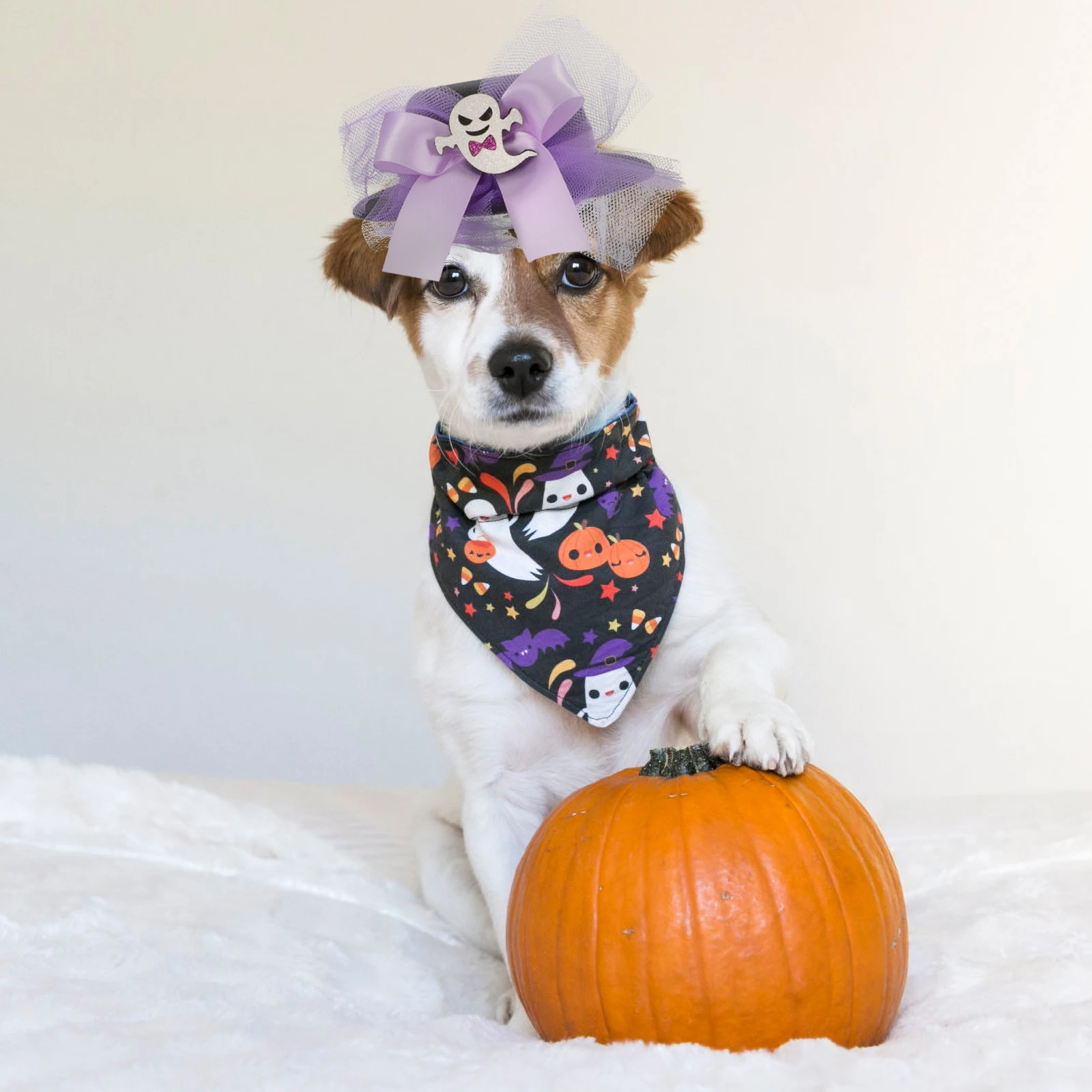 

Cat Tutu Skirt Has Halloween Hats Makeup Costume Props Cute Violet Mesh Party Outfit