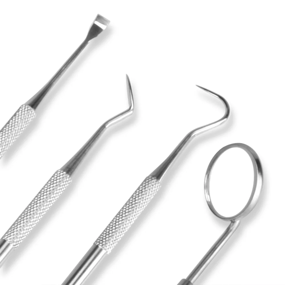 4 قطعة أداة طب الأسنان مع صندوق بلاستيكي أداة العناية بالفم أداة طبيب الأسنان الجير مكشطة قشارة حساب التفاضل والتكامل البلاك مزيل تنظيف الأسنان