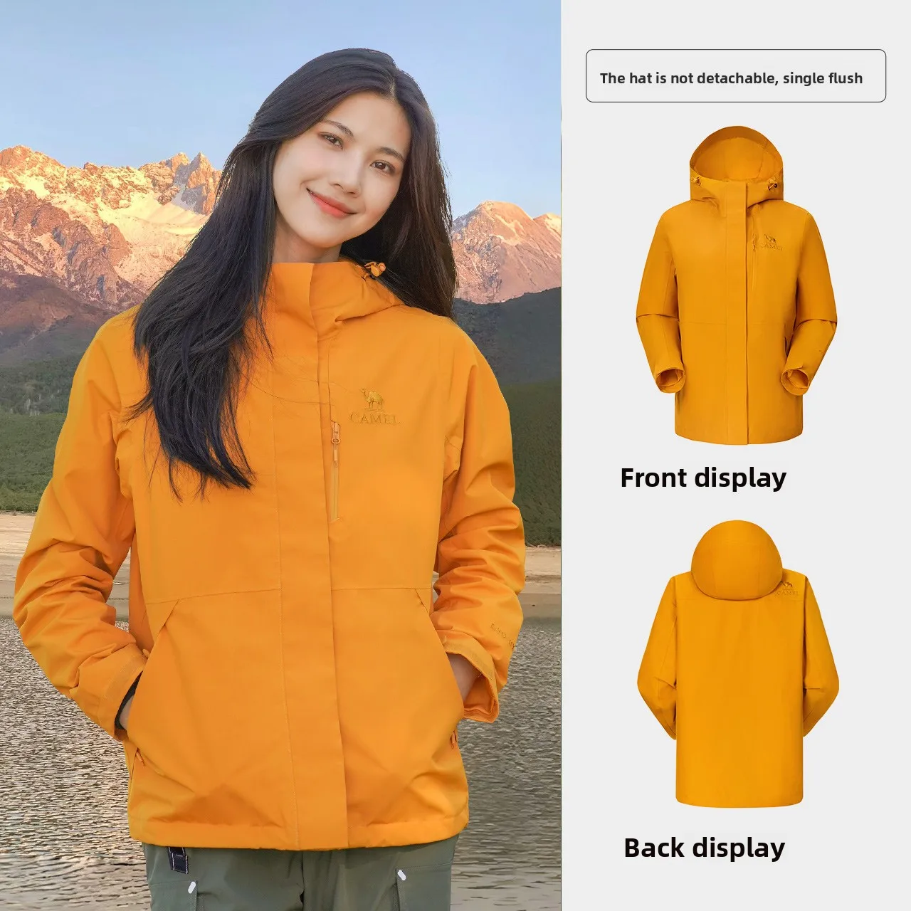 sunflower yellow