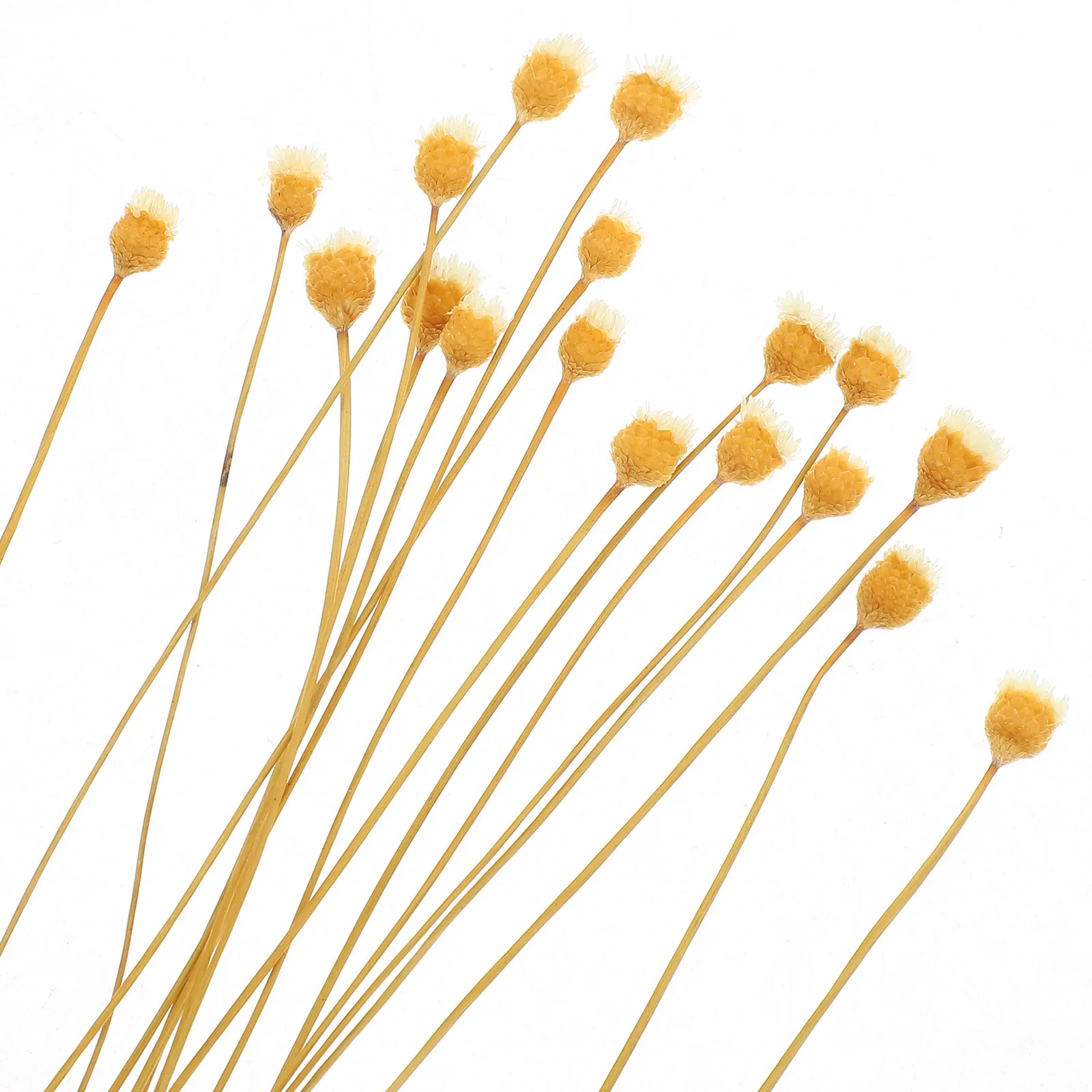 20 قطعة من أعواد الناشر القصب الزهري الآمنة للزيوت العطرية وزجاجة عطر بديلة وعصي الناشر #3