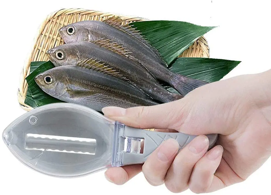 Fisch Haut Pinsel Schaben Fisch Skala Pinsel Reinigung Messer Entferner Schnelle Entfernen Fisch Peeling Schaber Fisch Scaler Küche Liefert – Detail 1