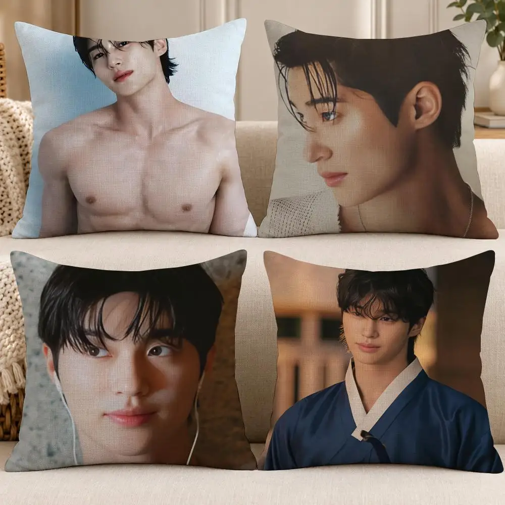 Actor Korean B-Byun Woo Seok Cushion Cover Soft Short Cover Washable Sofa Bed Dorm Garden Home Office Chair Decor