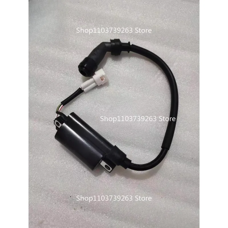 

Suitable for Lifan Motorcycle KPV150 LF150T-8 LF250-3R/KP250 High Voltage Package, Ignition Coil 83 #