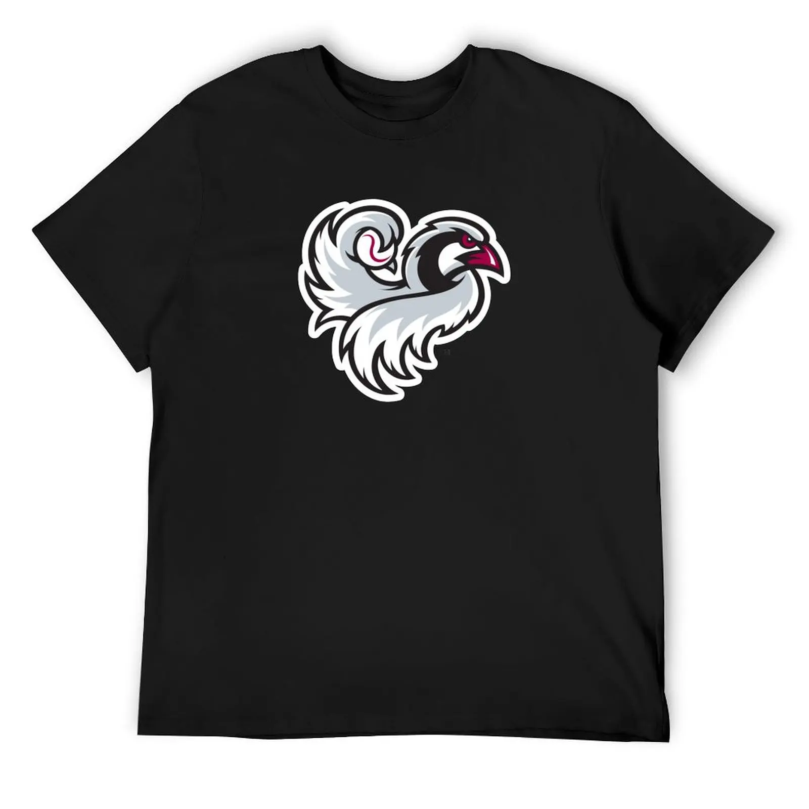 

Idaho Falls Chukars T-Shirt Luxury man summer clothes oversized vintage t shirts men tshirt