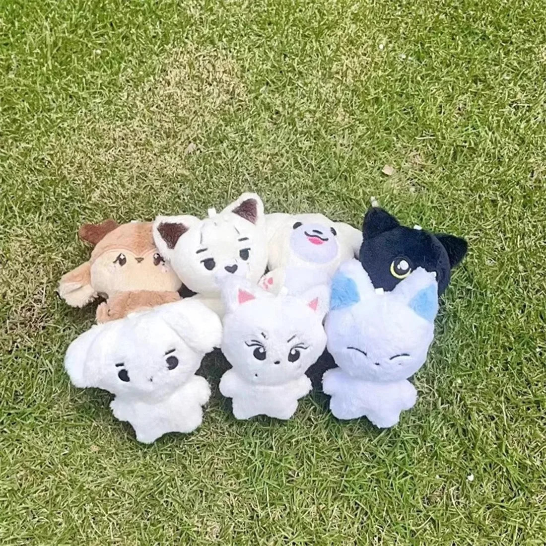 Kpop peluche JUNGWON HEESEUNG JAY JAKE SUNGHOON juguetes de peluche llavero Kawaii colgante de dibujos animados accesorios bolsa regalo para