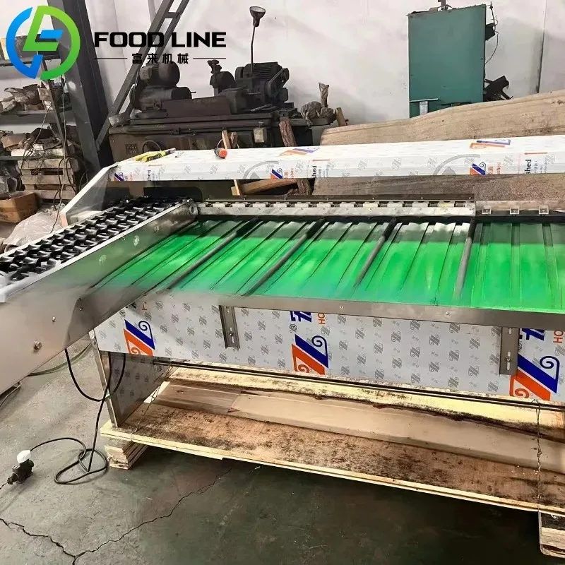 آلة تصنيف البيض الأوتوماتيكية، فارز الوزن والحجم التجاري لمزرعة الدواجن وأعمال تعبئة البيض