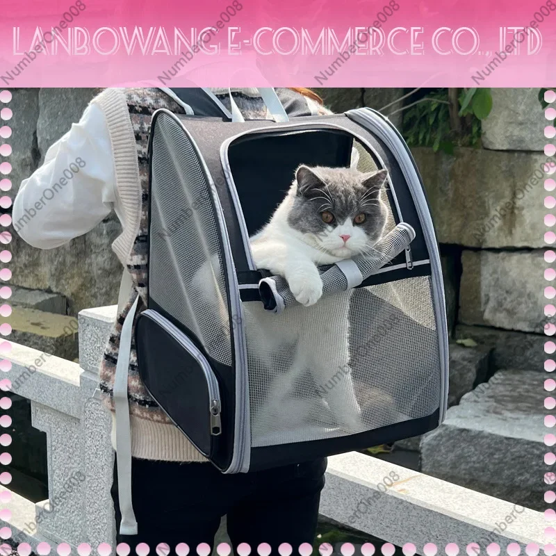 Mesh Breathable Foldable Pet Carrier, Cat Backpack for Outdoor Travel, Small Dog Portable Travel Bag