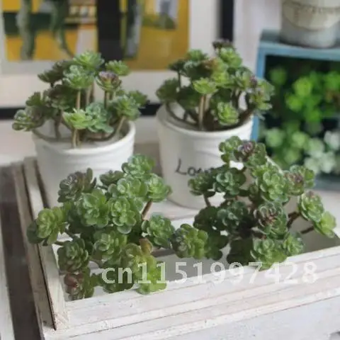 Artificial Mini Green Office Plant Wonderful Fleshy Garden Decor Artificial Succulents Artificial Potted Flowers