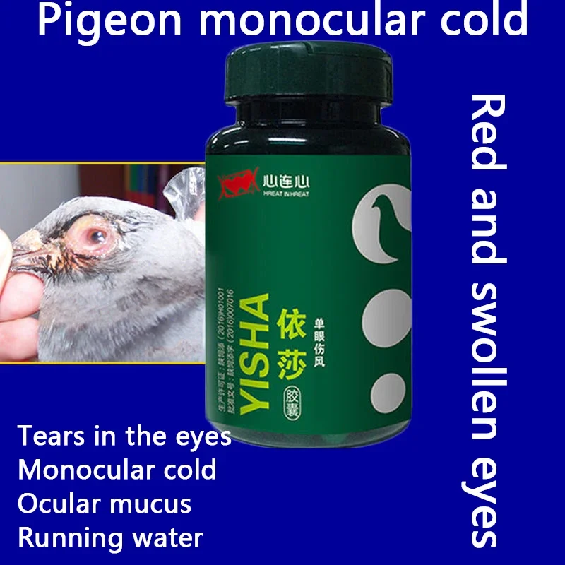 Pigeon single eye cold eyes tearing mucus running eyes red and swollen pigeon chlamydia 60 capsules