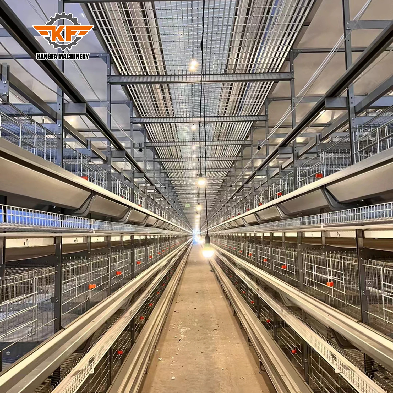 Factory Direct H Type Layer Cage with Automated Egg Collection for Nigeria