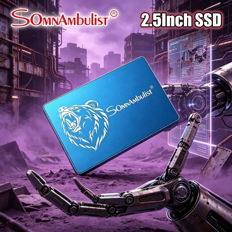 solid-state-drive-sata3-somnambulist-ssd-1tb-2tb-128gb-240gb-256gb-480gb-512gb-960gb-for-laptop-desktop