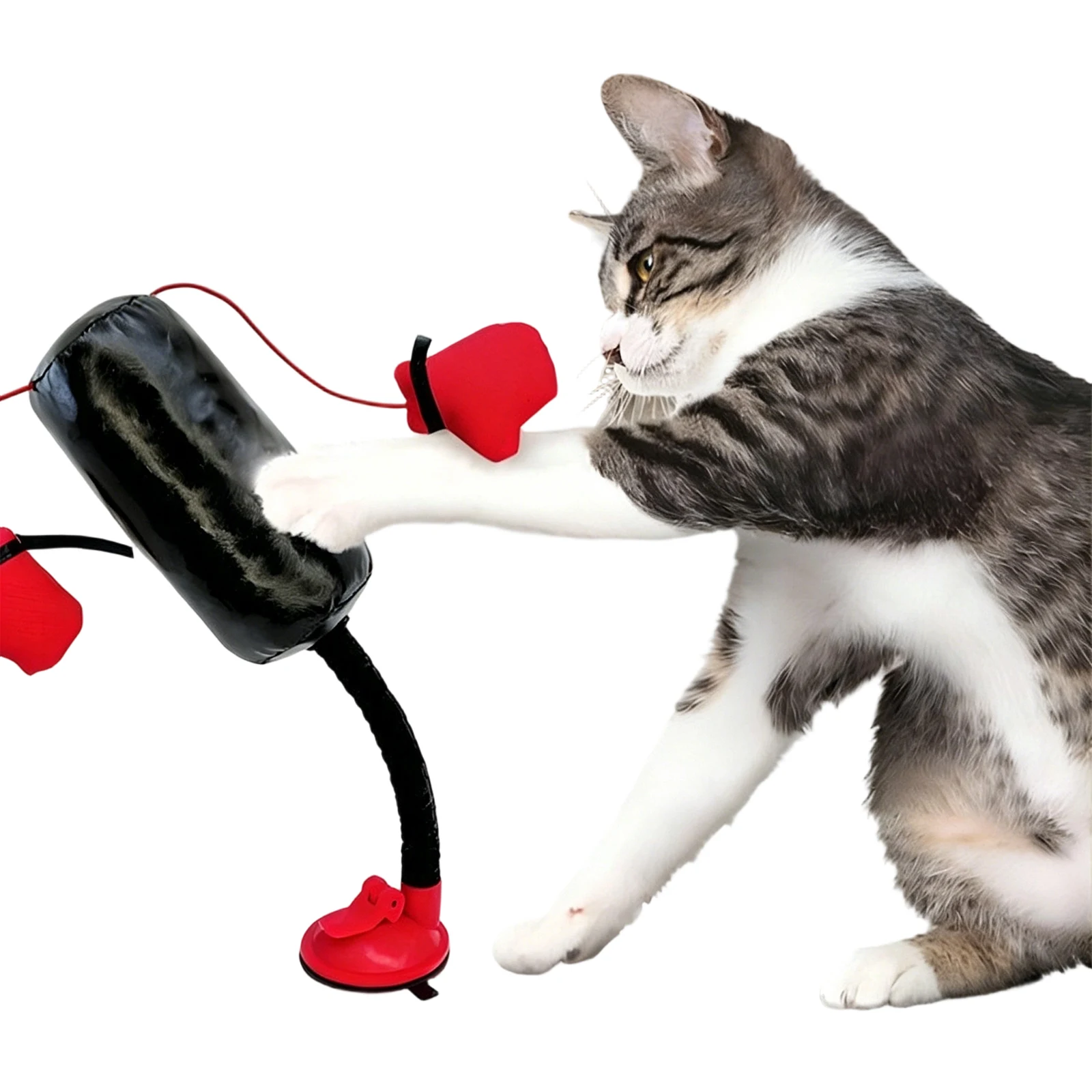 Cat Boxing Bag with Boxing Gloves 13.78 Inch Felines Boxing Exercise Teaser Interactive Kitten Punching Bag for Play & Training