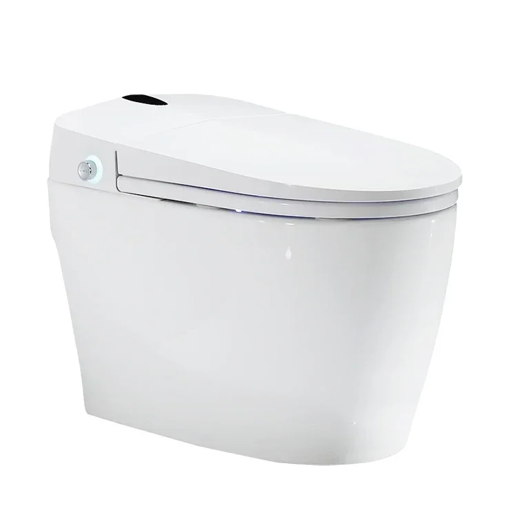 

Wholesale cheap 110V/220V auto open one piece japanese electric bidet siphonic intelligent smart wc automatic toilet
