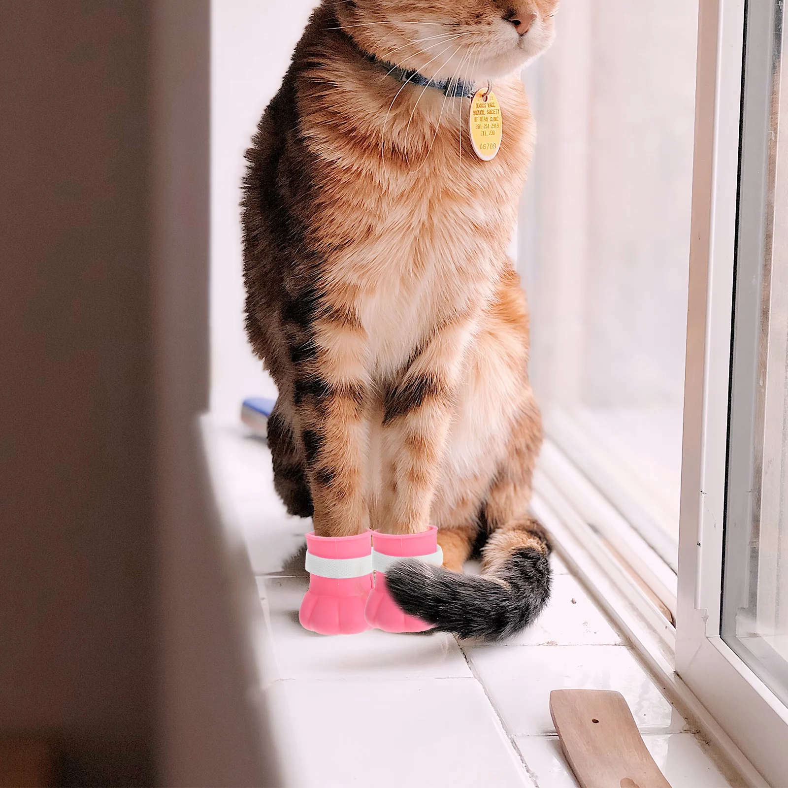 

4Pcs Cat Paw Covers Silicone Anti Scratch Boots Adjustable Bathing Shoes Protective Claw Covers for Cats Grooming