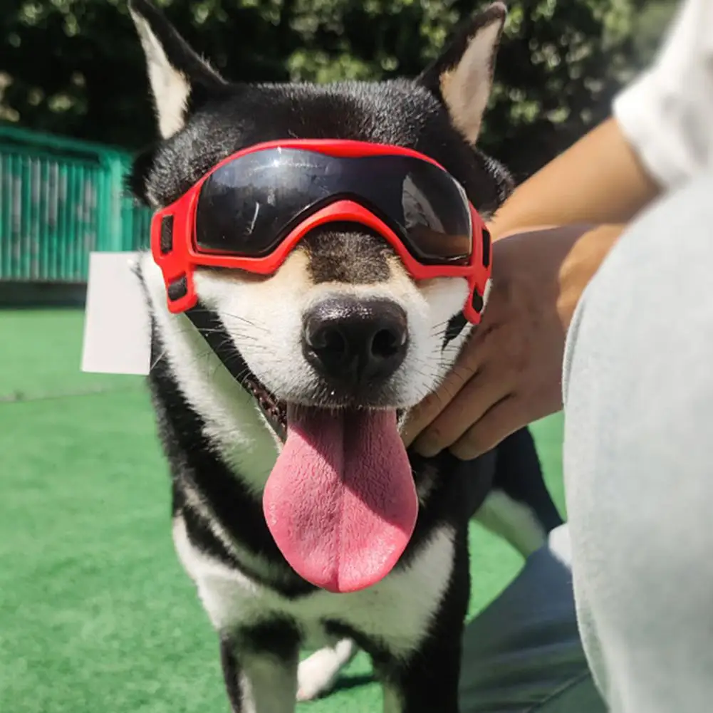 Premium Pet Glasses Eye catching Dog Goggles Anti fog Dog Sunglasses Eyewear Decor UV Protection