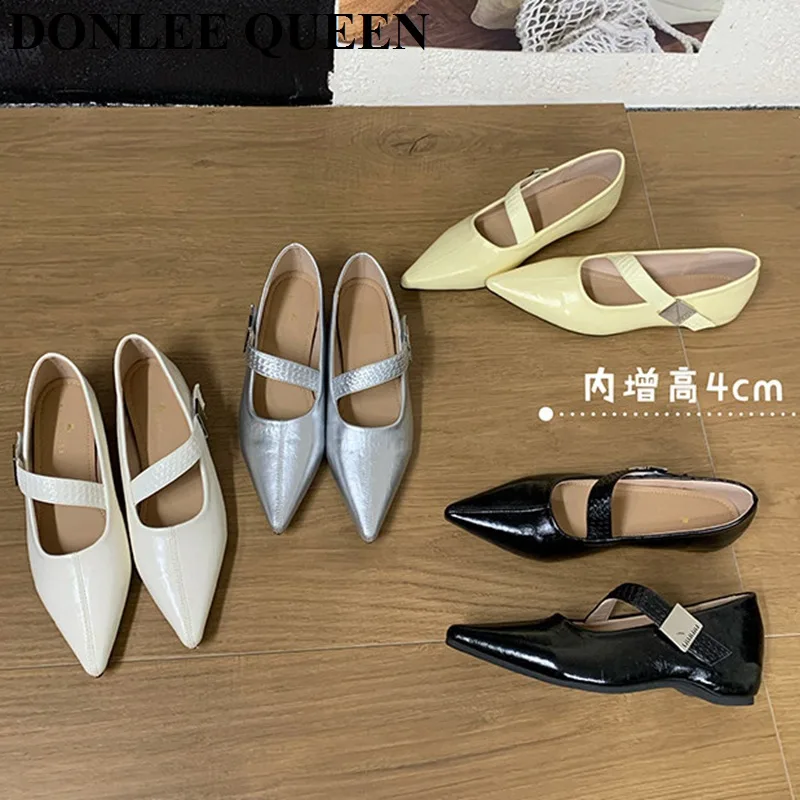 

Новые весенние туфли 2026 года: модные женские туфли Мэри Джейн с острым носком, на низком массивном каблуке, с ремешком, без застежки, удобная обувь