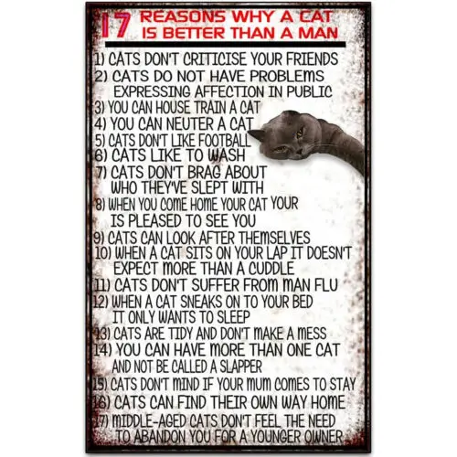 Cute Cat Metal Tin Sign For Home Garage Room Bar Metal Tin Decor Hang 17 Reasons sign