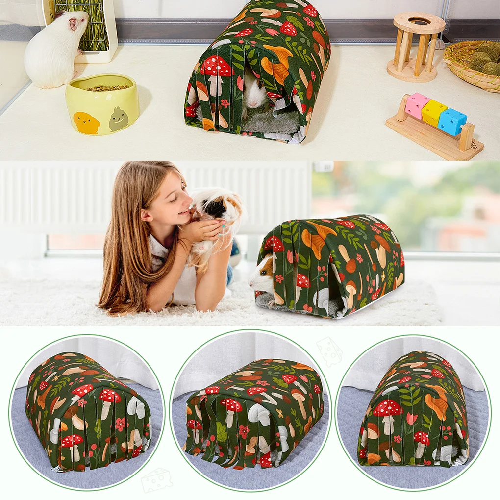 Thumbnail 3 - #7 New Hamster Houses Arrivals