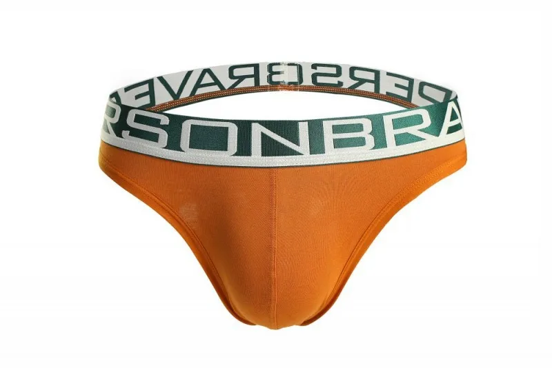 Stretch Cotton Briefs for Men Sexy U Convex Pouch Underpants Comfortable Sweat Absorb Back Hollow Out Gays Low Wast Underpants