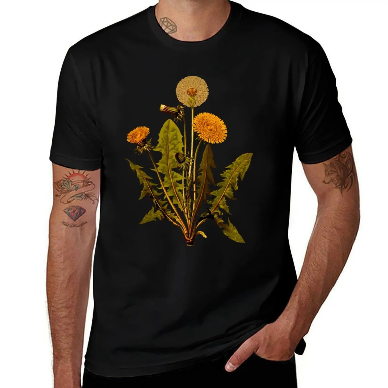 

Vintage Dandelion Flower Illustration T-Shirt g man t shirts for men anime t shirts for man man graphic t shirt T-Shirt