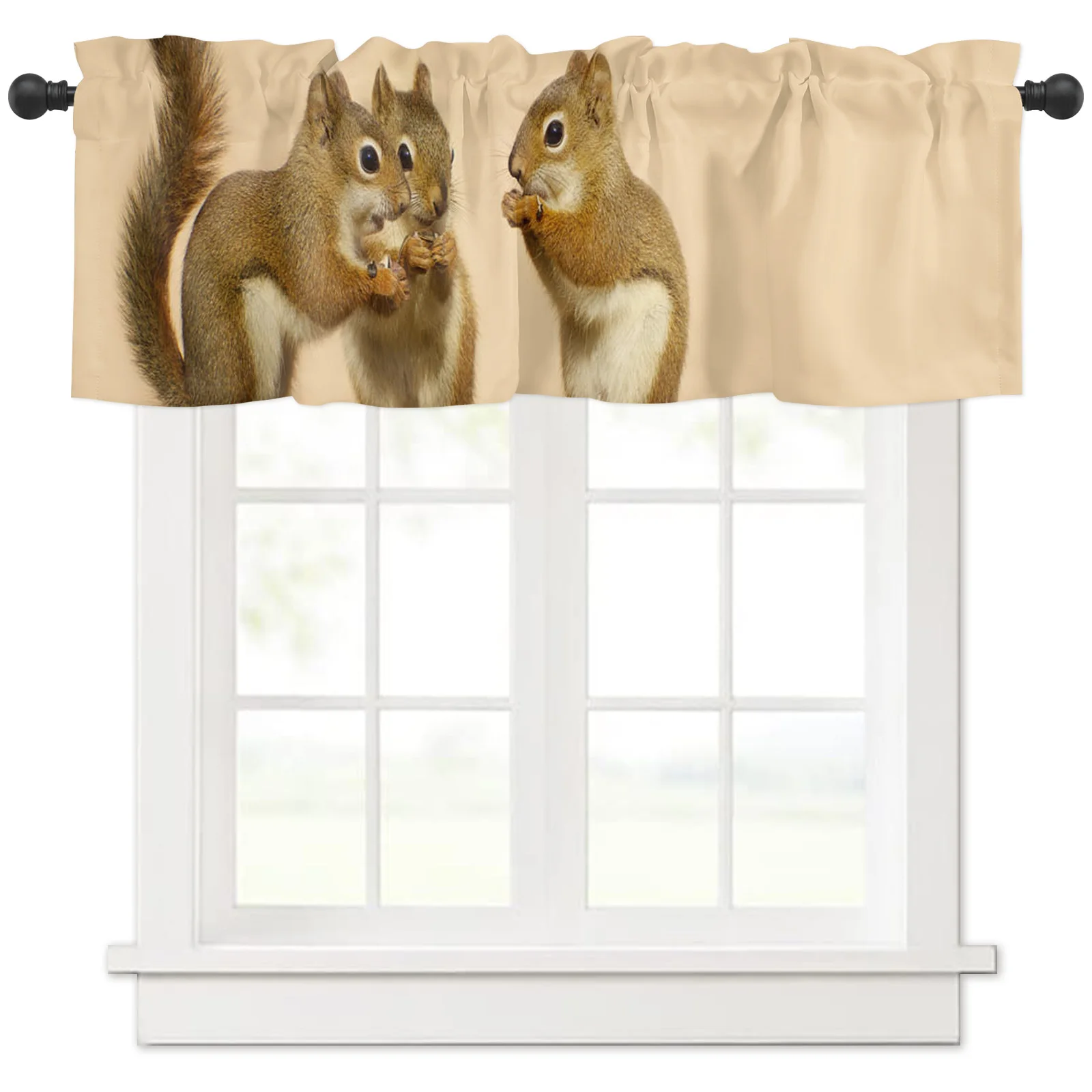 Valances for Windows Kitchen Living Room Small Window Valance Animal Squirrel Chinchilla Eating Sunflower Seeds Bark 1 Panel