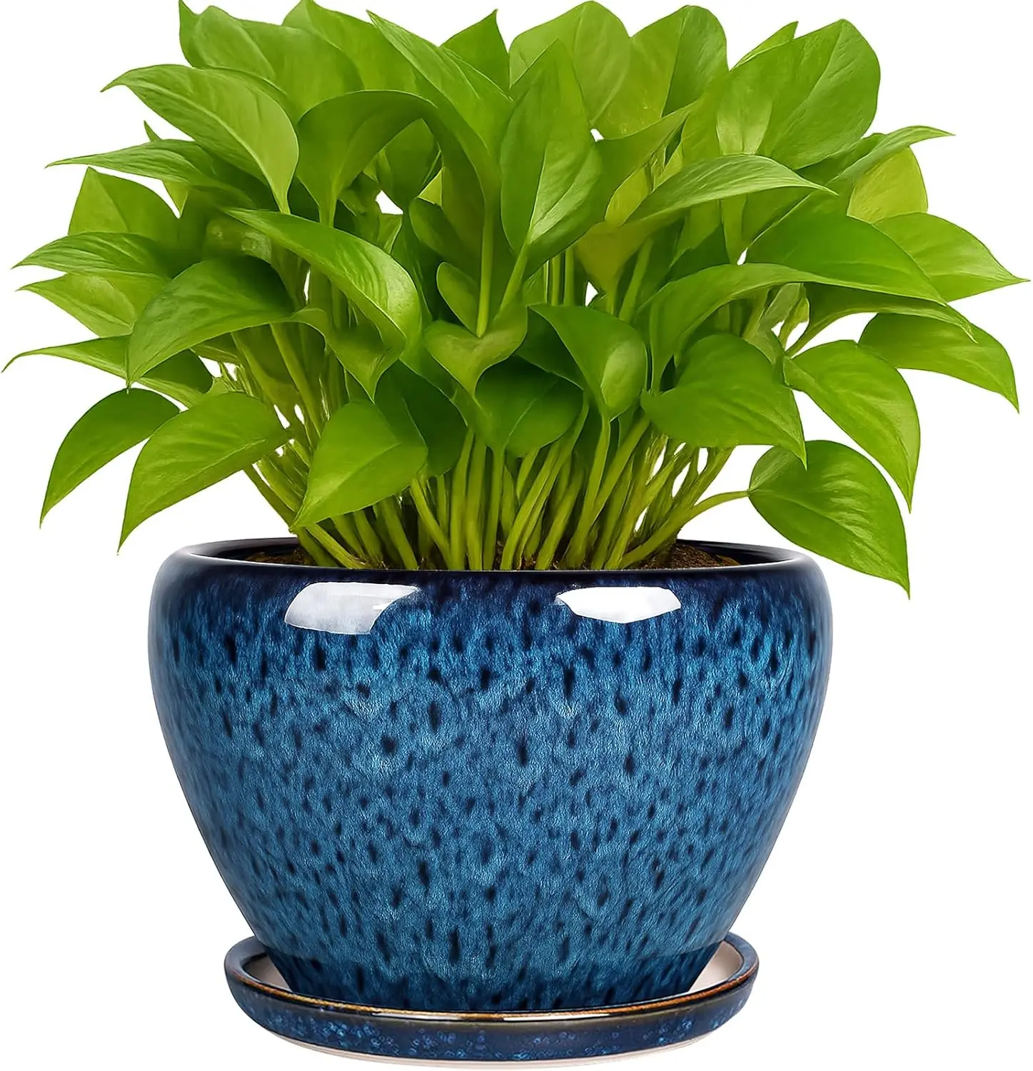 

6 Inch Ceramic Planter with Drainage Hole and Saucer, Round Flower Pot for Indoor Outdoor Succulent Plants, Blue
