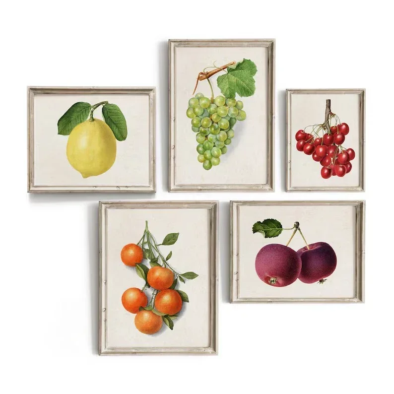 Lemon Blushed First, Orange Peeled the Punchline – Vintage Colorful Botanical Fruit Frameless Canvas for Farmhouse Wall