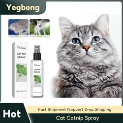 Gatti Catnip Spray alleviare lo Stress cani migliora la vitalità Pet attrattivo a lunga durata Anti ansia assistenza sanitaria Pet Spray calmante