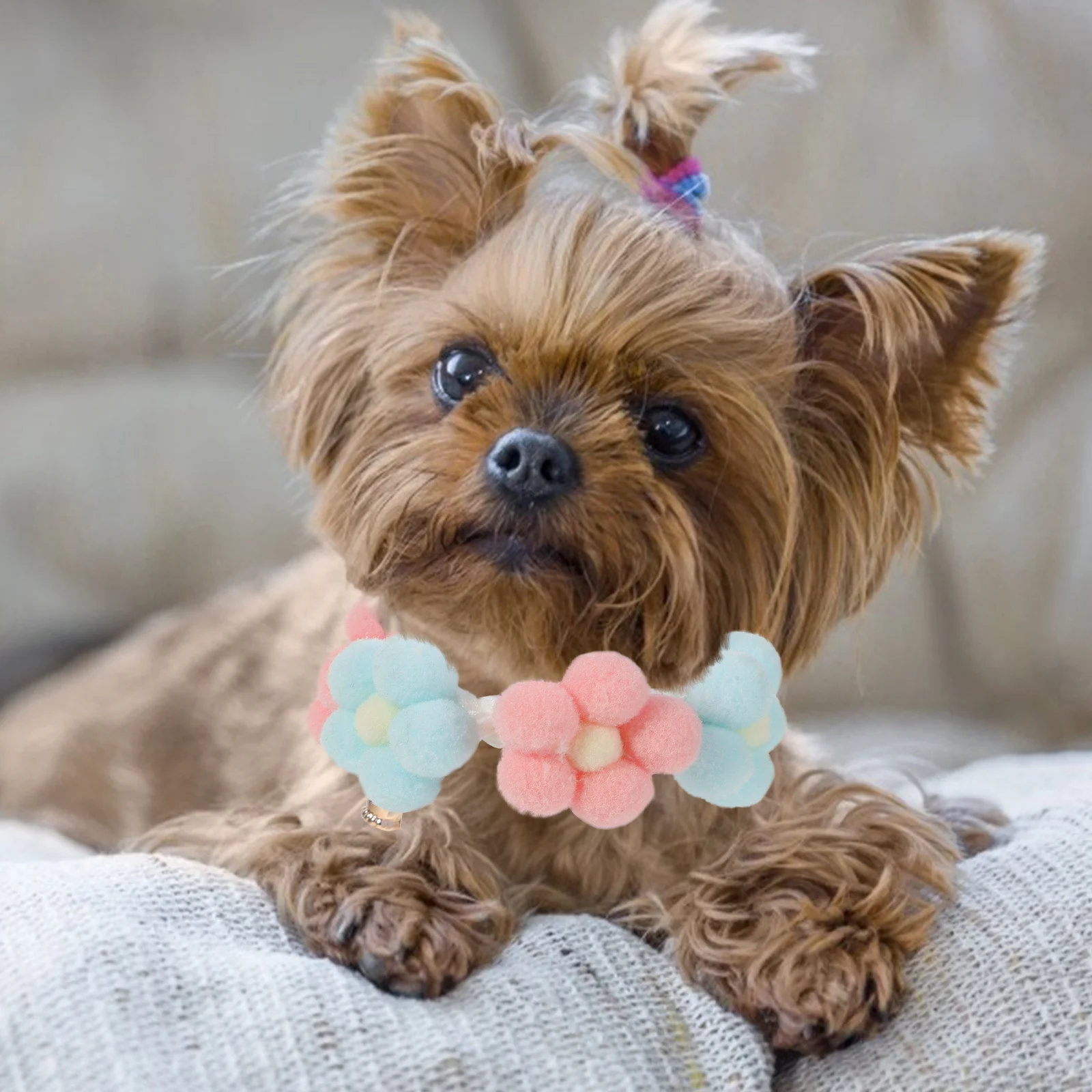 

Adjustable Hand Knitted Cat Collar Lightweight Soft Pet Neck Ring for Cats Dogs Cute Flower Design Fashion Pet Costume Accessory