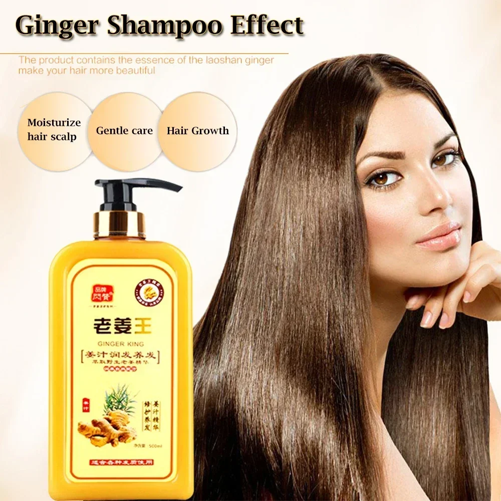 

Sdatter 1 Bottle Ginger Juice Anti Hair Loss Hair Shampoo Professional Repair Damage Hair, Hair Growth DENSE,ANTI ITCHING,OIL CO