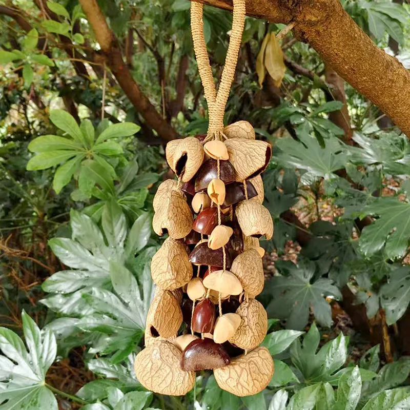 

Ореховая ракушка, колокольчик для медитации, релаксации, колокольчики, диапазоны, духовные колокольчики, звуковое исцеление, музыкальные инструменты, музыкальная терапия