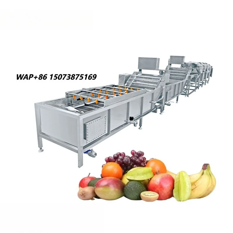 Orange Lemon Citrus Washing Drying Sorting Line Fruit Cleaner Waxing Grading Processing Machine