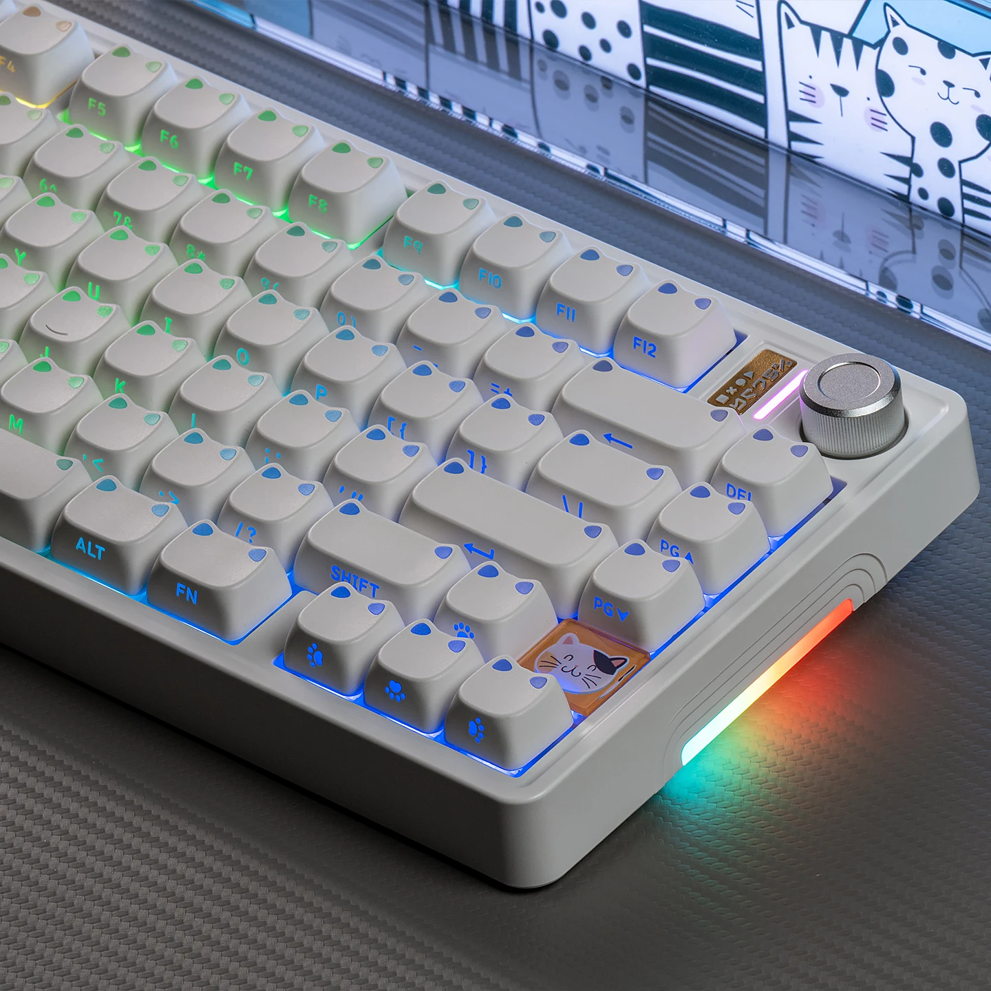 Cute Cat Head Keycaps PBT MAO Round keycaps Side Print Backlit Keycap Minimalist White For MX 64 87 96 104 Mechanical keyboard