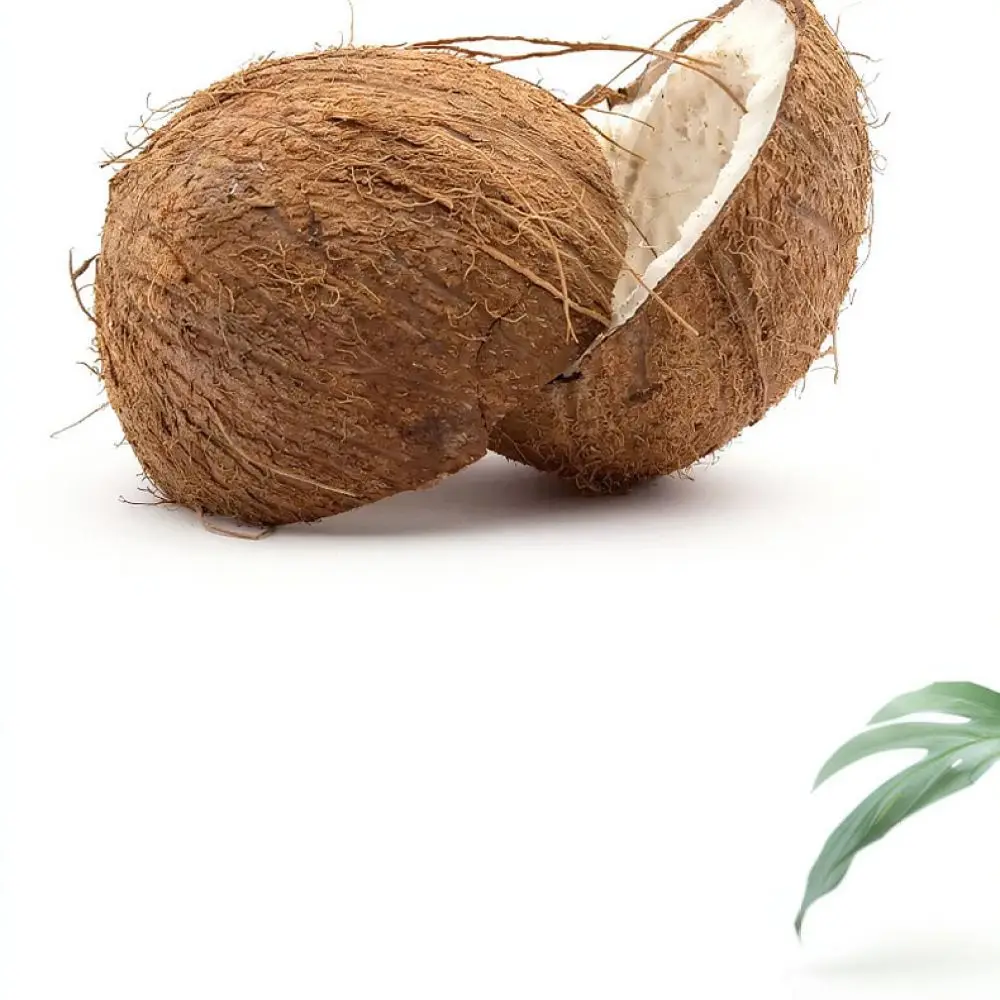 Desalinated Coconut Coir Brick Soil Medium For Indoor Outdoor Gardening Potted Plants Herbs Greenhouse Growing Mix
