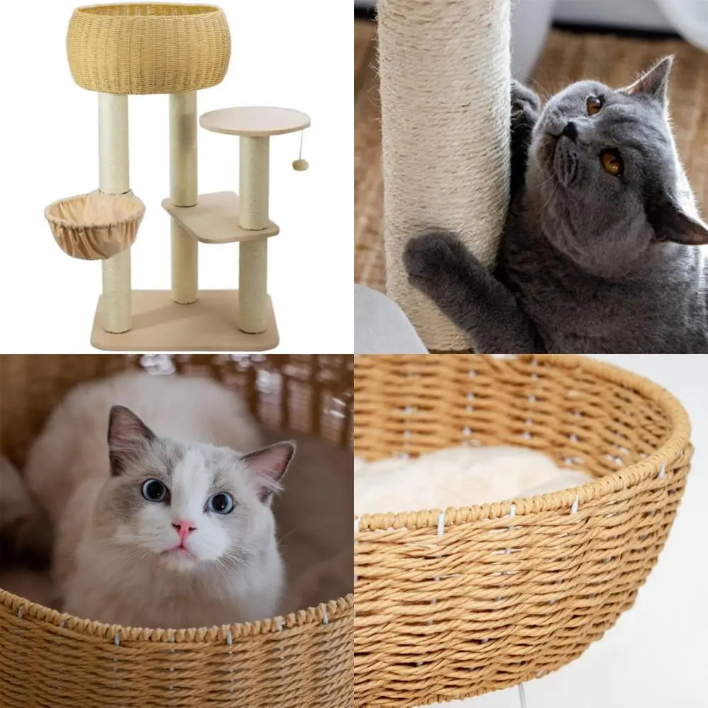 

Многоуровневое уютное и элегантное кошачье дерево с когтеточками для скалолазания и занятий в помещении