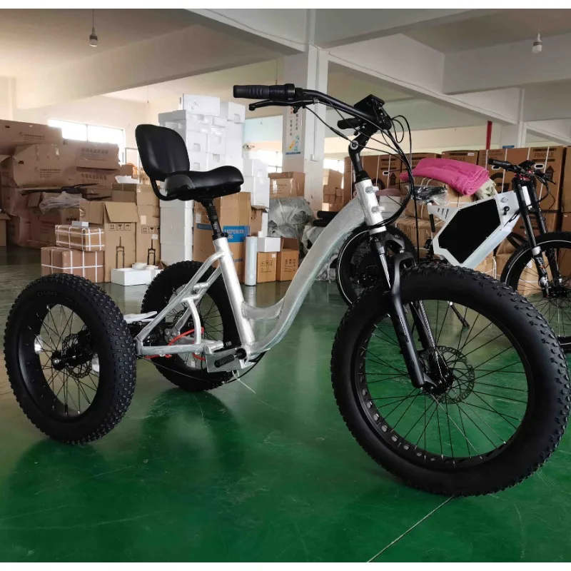 48v 1000w Mid Drive Ebike Conversion Kit 3 Wheel Electric Bicycle Electric Cargo Tricycle