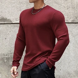 New Long Sleeve t shirt for Men Autumn Fashion Cotton Solid Color t-shirts Cozy Streetwear Men's t-shirt Long sleeve men tops