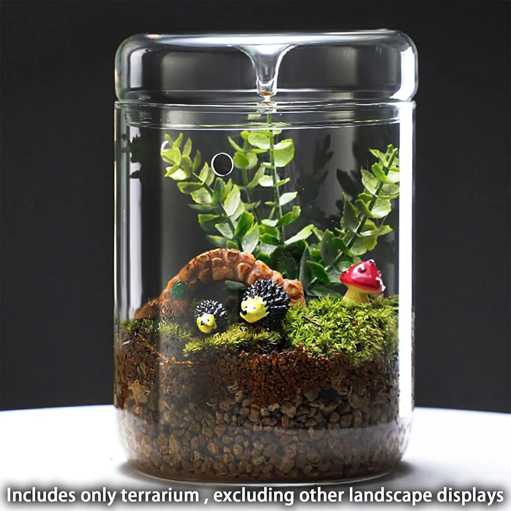 Glass Bottles Creativity Dew Collection Glass Vase Micro Landscape Succulent Moss Bansai Landscape Glass Terrarium Home Decor