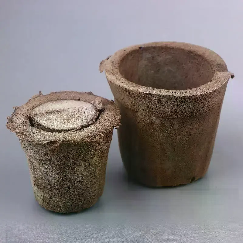 Soil For Butterfly Orchids Pre - Air Plant Tillandsia ulasan dan harga