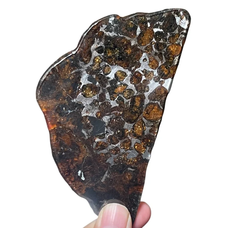 Kenya Pallasite Meteorite Slice Polished Slab with Beautiful Golden Olivine for Astronomy Enthusiasts & Home DecorQA853