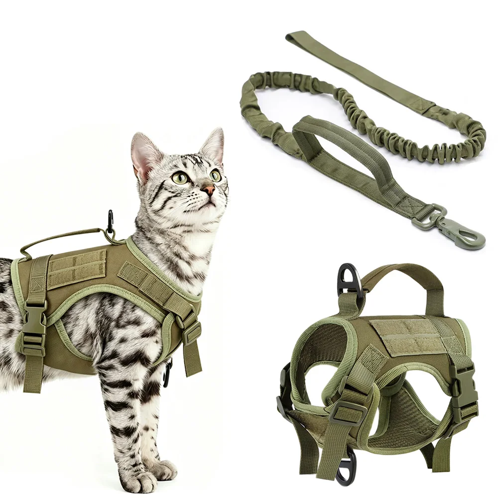 #43 Latest Puppy Harnesses Updates