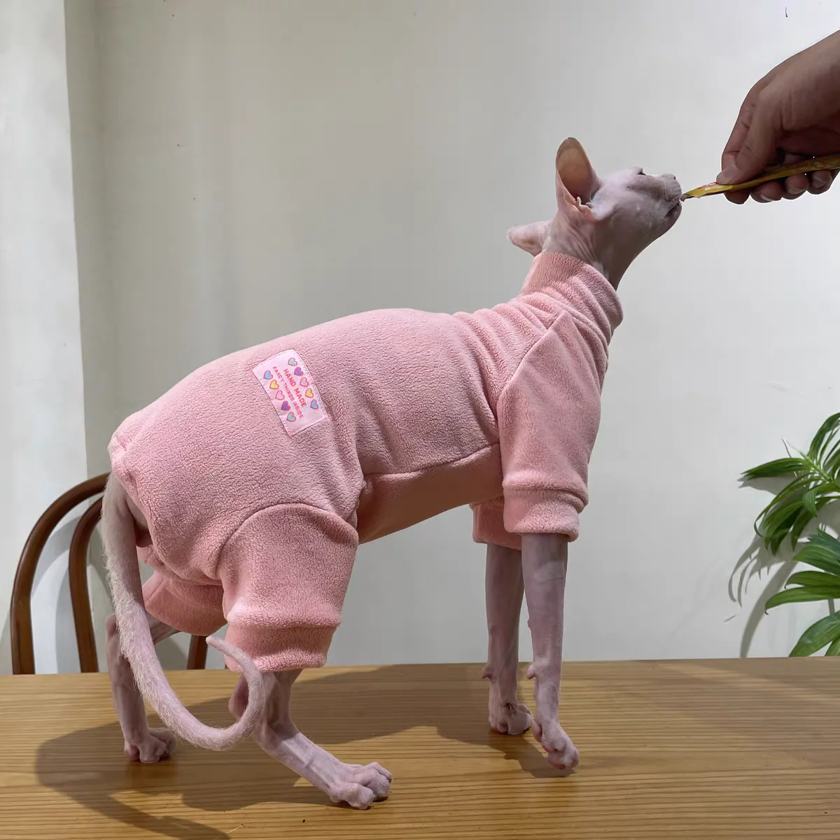 Fleece-Mantel für Sphynx-Katzen, warmer Sweatshirt, 4-beiniger Overall für Kätzchen und Hunde, weiche Freizeitkleidung für männliche Katzen, Devon Rex-Pullover. – Detail 11