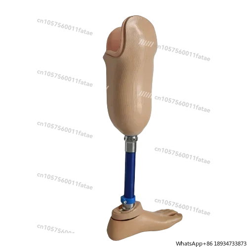 

Artificial Limbs Leg Implan Bk Leg Prosthesis People with Disabilities Prosthetic Leg